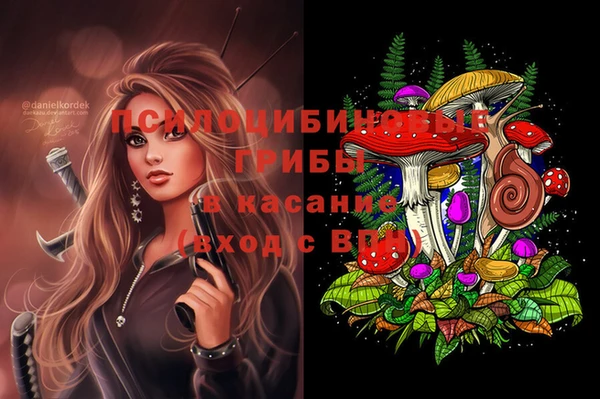 дживик Кулебаки