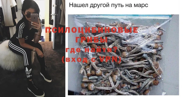 дживик Кулебаки