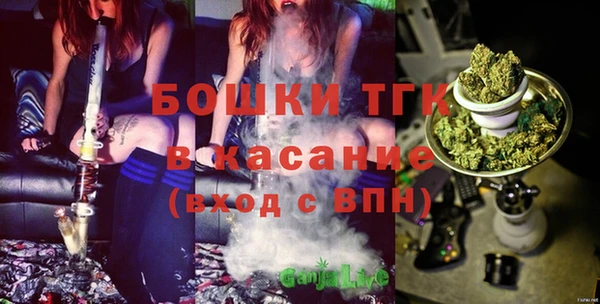 дживик Кулебаки