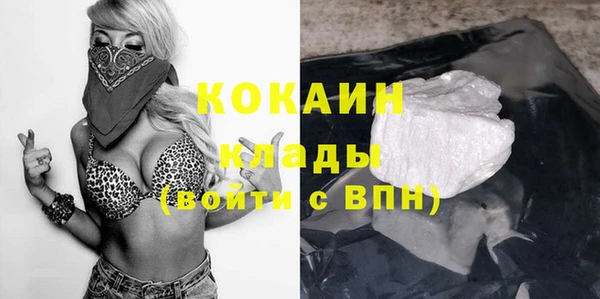 дживик Кулебаки