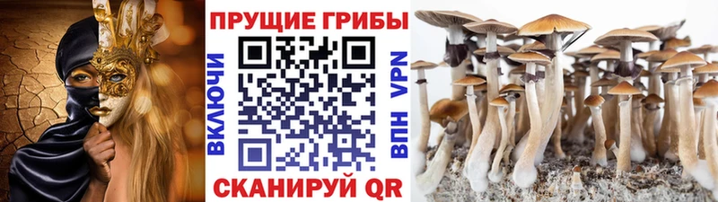 Псилоцибиновые грибы мухоморы  Купить где  Вяземский 